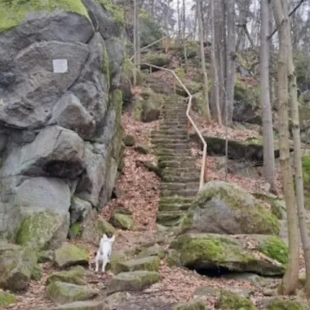 Apartamento Mit Tollem Kamin - Hunde Willkommen! Falkenstein (Upper Palatinate)